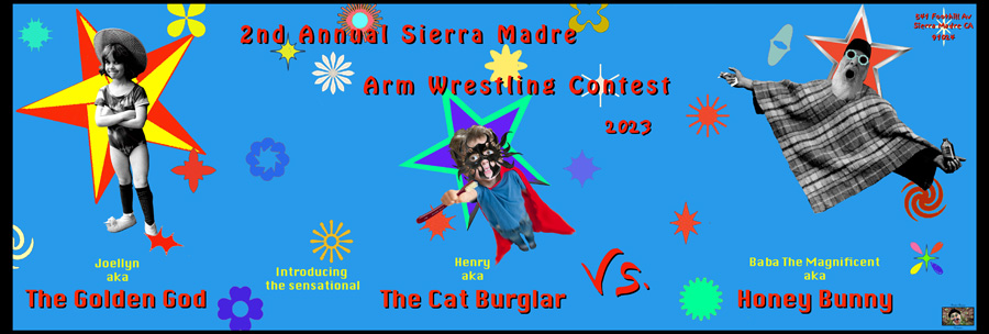 Wrestling